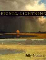 picnic lightning